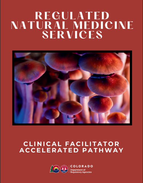 Clinical Facilitator Accelerated Path Guide