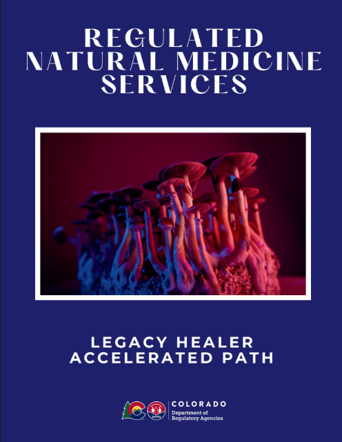 Legacy Healer Accelerated Path Guide