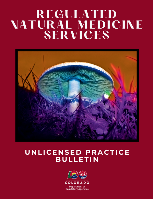 Unlicensed Practice Bulletin