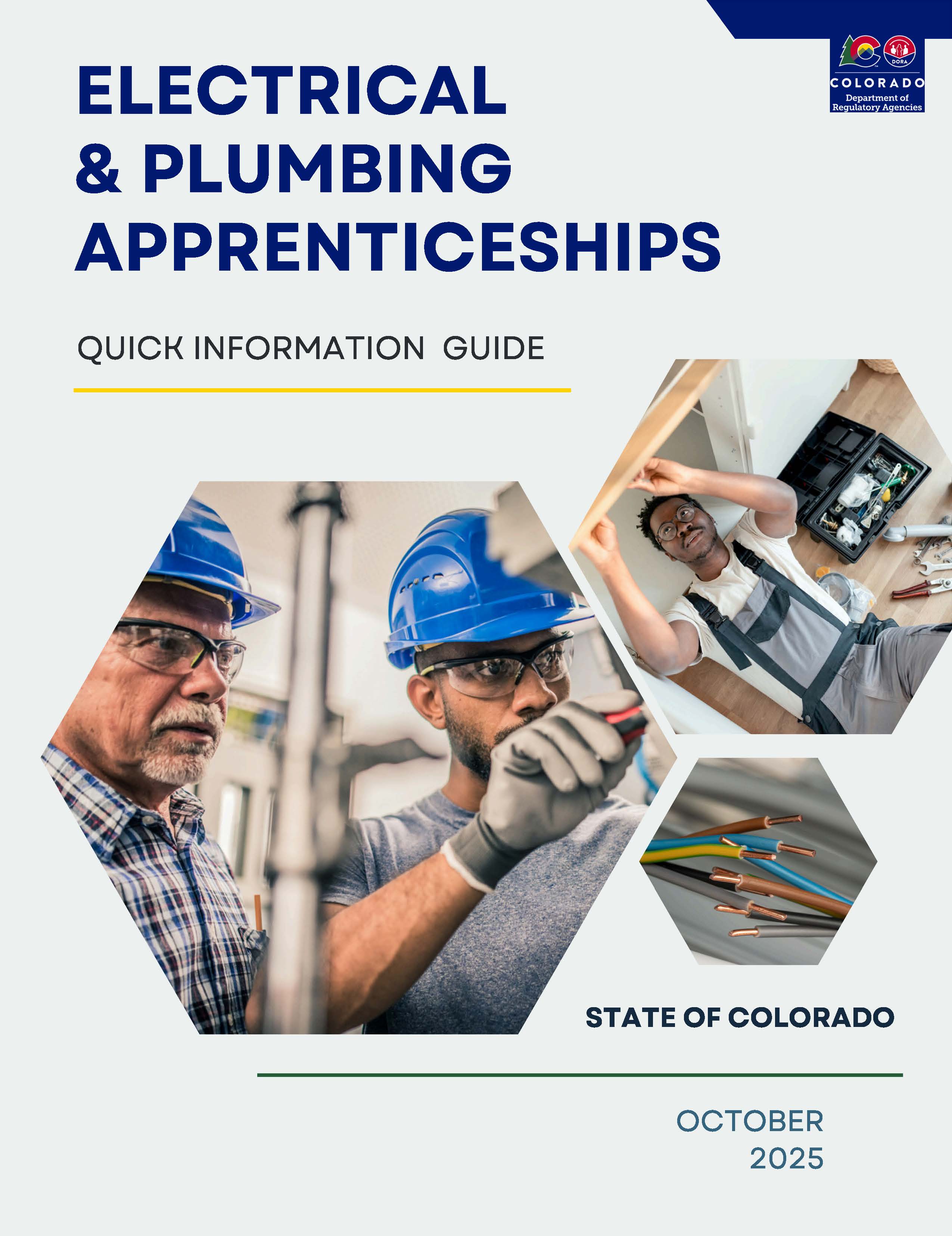 Electrical & Plumbing Apprenticeships Quick Guide
